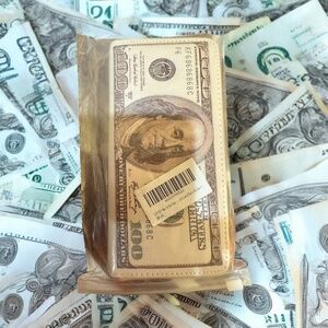 Dollar Money Zip Around Wallet